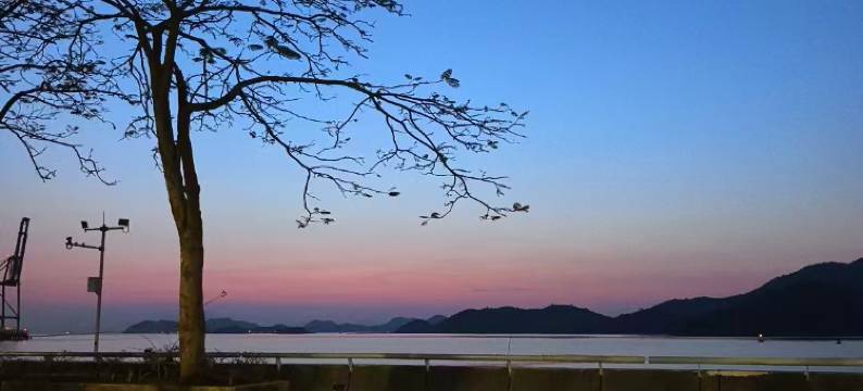 骏怡连锁酒店(深圳中英街店)图片