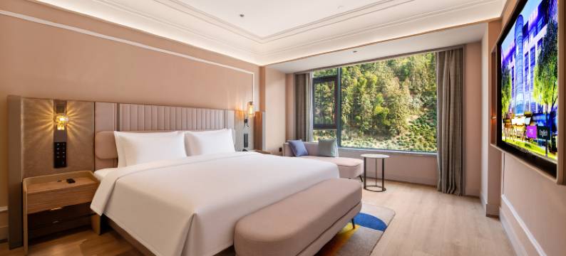 黄山南大门换乘中心美居酒店图片