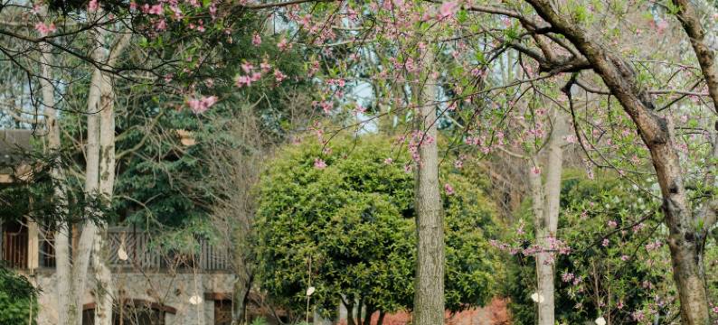 峨眉山乌兰度假酒店图片