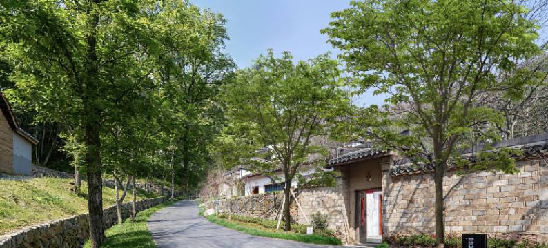 合肥庐江初念人文度假酒店图片