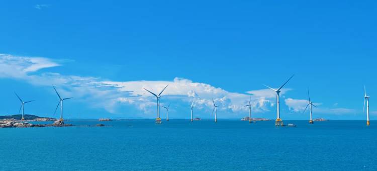 岚夏·风车海景·全幅画卷设计师民宿(君山村观海亭店)图片