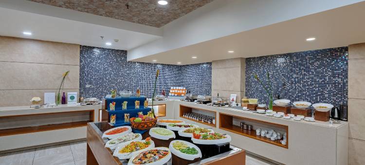 瓦多达拉苏巴精英酒店(Hotel Suba Elite Vadodara)图片