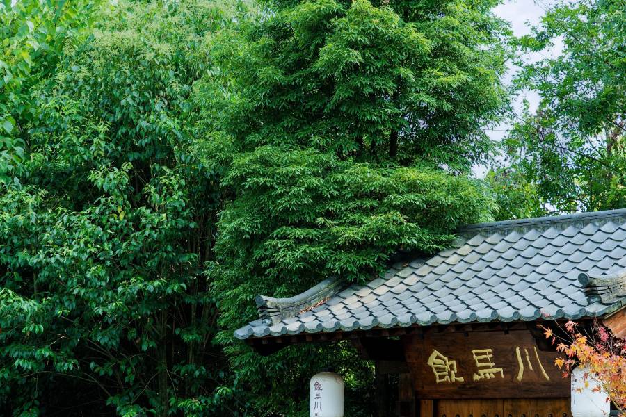 青城芷築·飲馬川度假莊園