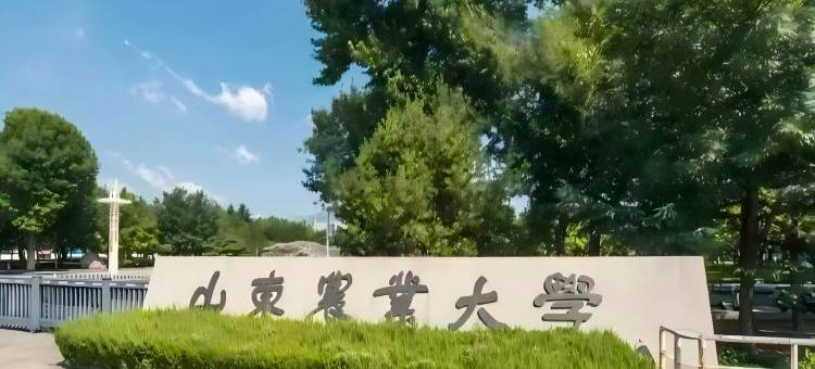 轻住酒店(泰安市泰汶吾悦广场店)图片