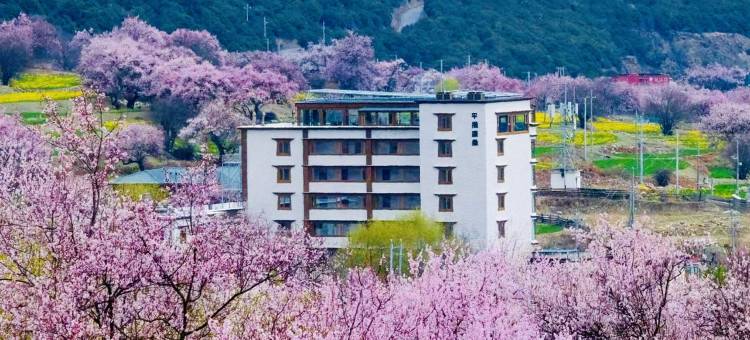 平措康桑雪里桃花度假庄园(索松南迦巴瓦店)图片