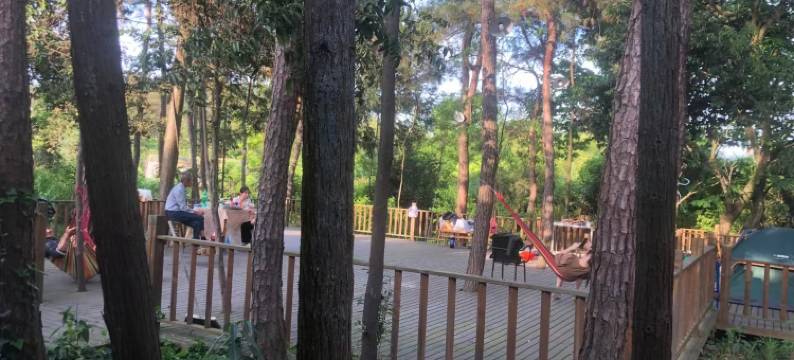 安吉云舒山墅图片