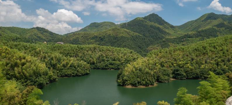 云上草原·野·在大里·美食物语竹林山奢VILLA美宿(仙龙峡漂流店)图片