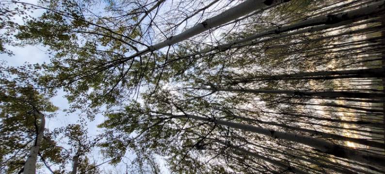 鞍山汤岗子温泉贵宾民宿图片