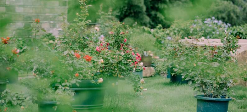 栖泉民宿(张家界国家森林公园店)图片