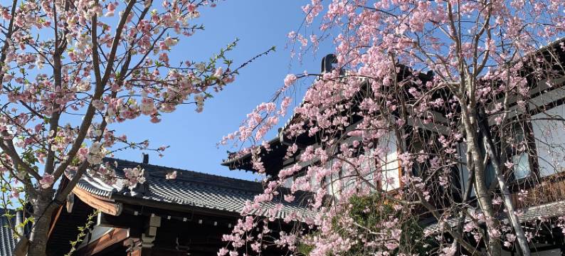 奈良酒店(Nara Hotel)图片