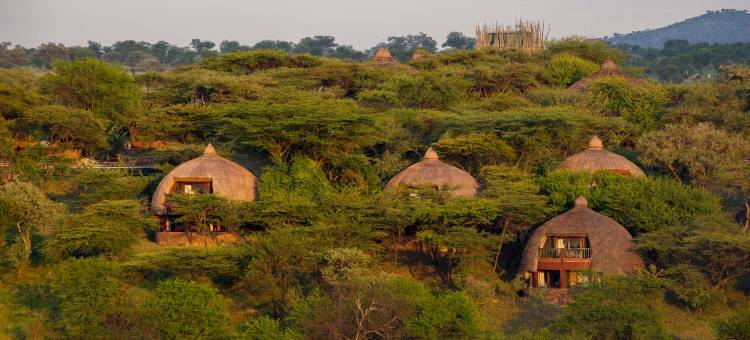 塞蕾娜塞伦盖蒂野生动物园小屋(Serengeti Serena Safari Lodge)图片