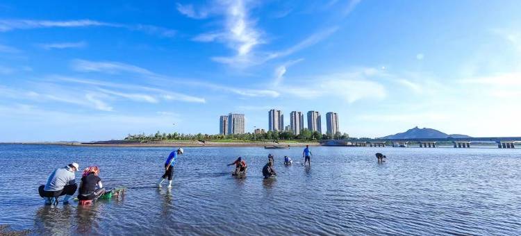 临海居海景民宿(荣成百合湾景区店)图片