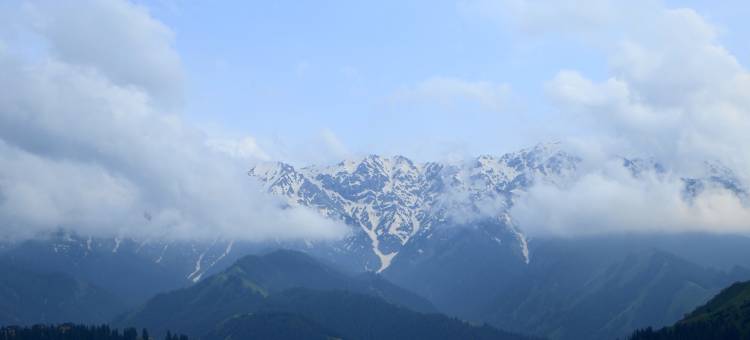 山禾家民宿(那拉提风景区店)图片