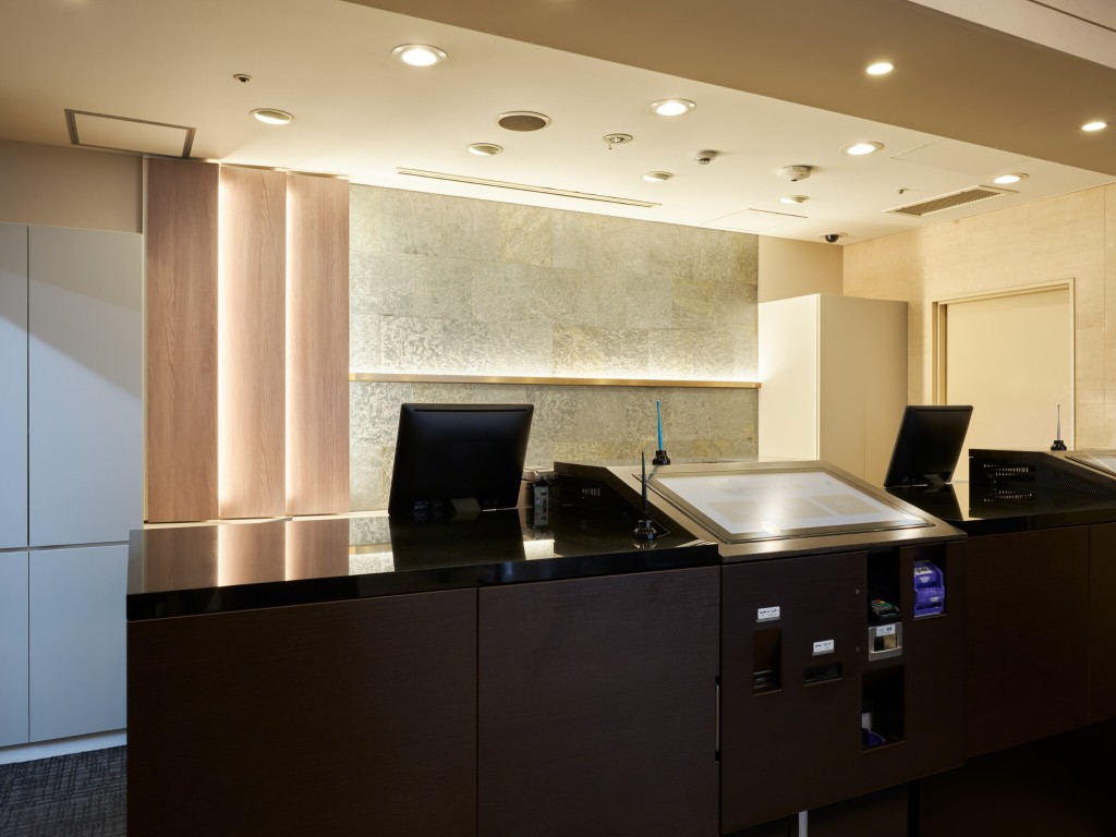 Hotel Villa Fontaine Tokyo-Otemachi Over view