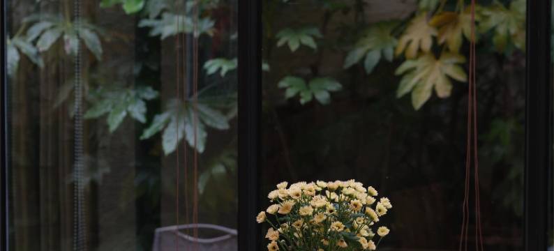 看见远方·莫干遥远的山民宿图片