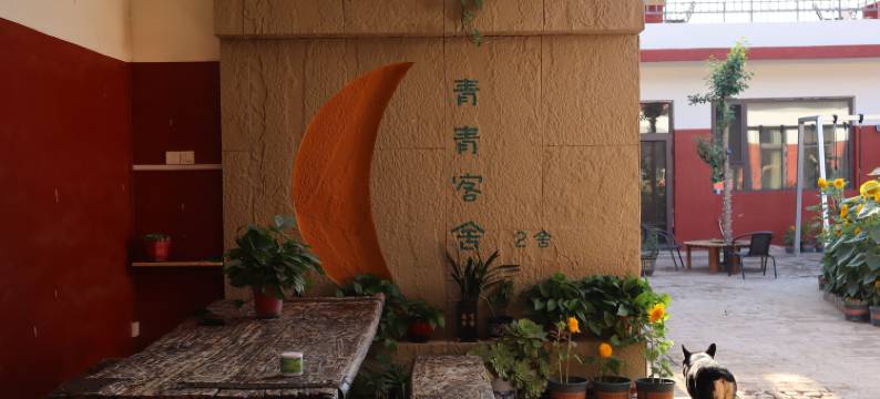 青青客舍图片