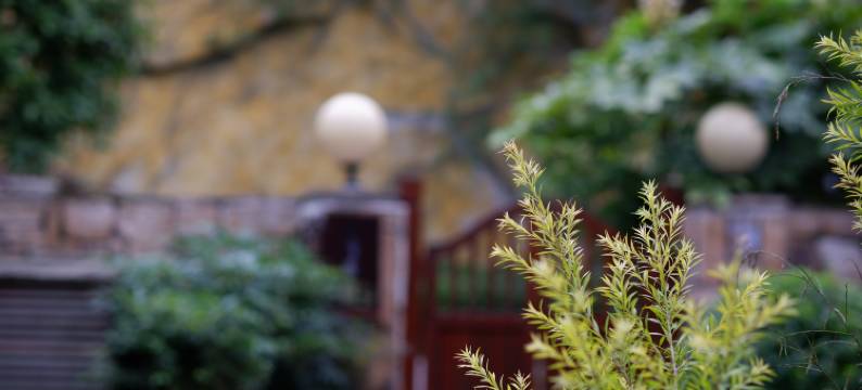 彭州断桥渔歌民宿图片