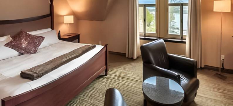 贝尔维城堡酒店(Hotel Chateau Bellevue)图片