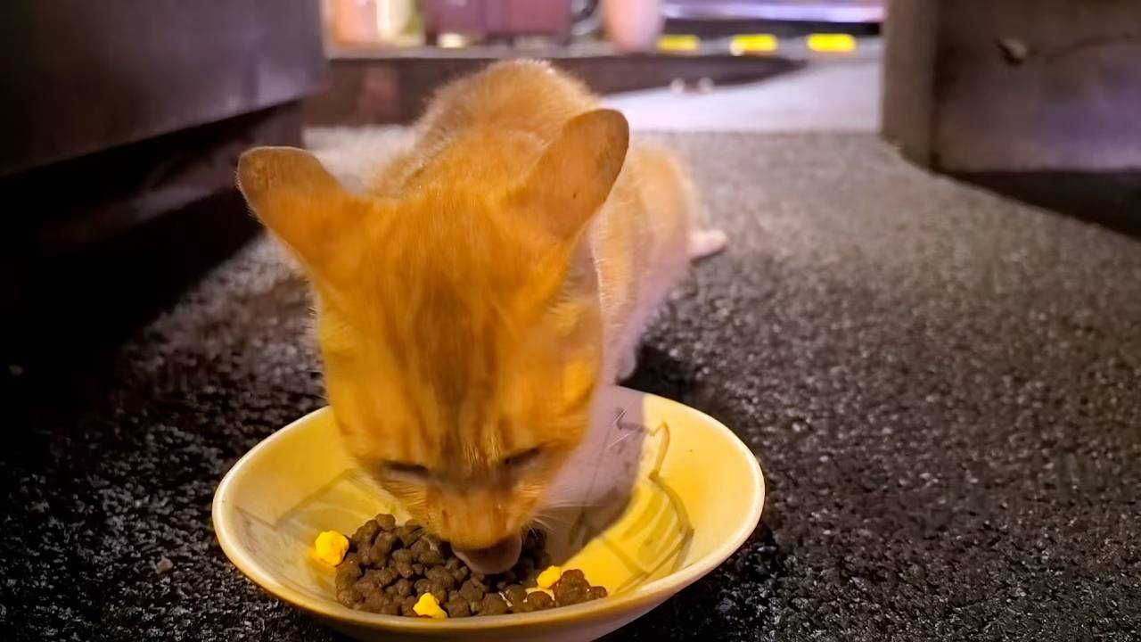 花筑·宜兴安泊酒店(丁蜀镇店)图片