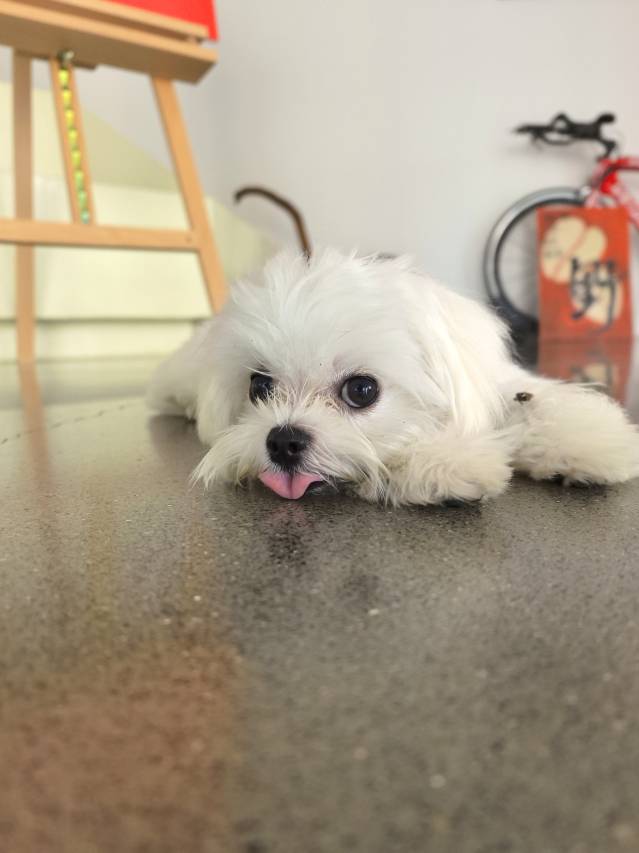 花筑·宜兴安泊酒店(丁蜀镇店)图片