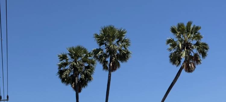 帕塔瓦度假地及水疗中心(Pattawia Resort & Spa, Pranburi)图片