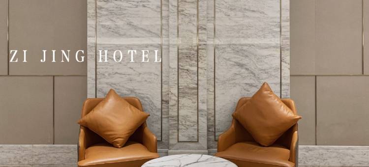 平阳紫京大酒店图片