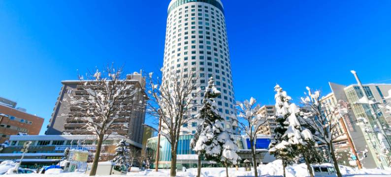 札幌王子酒店(Sapporo Prince Hotel)图片