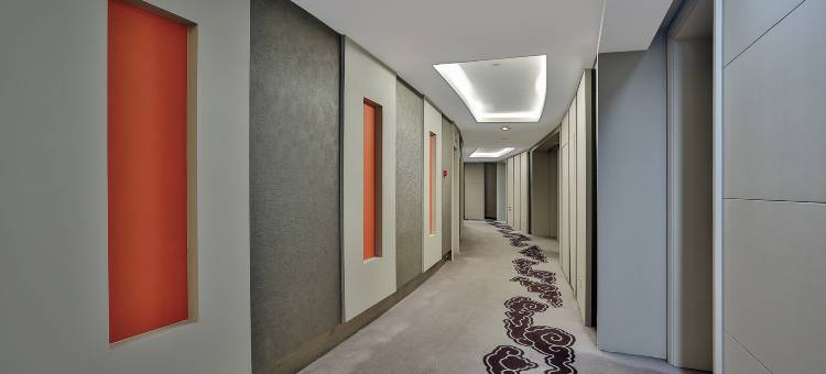 龙游宝俪·清水湾酒店图片