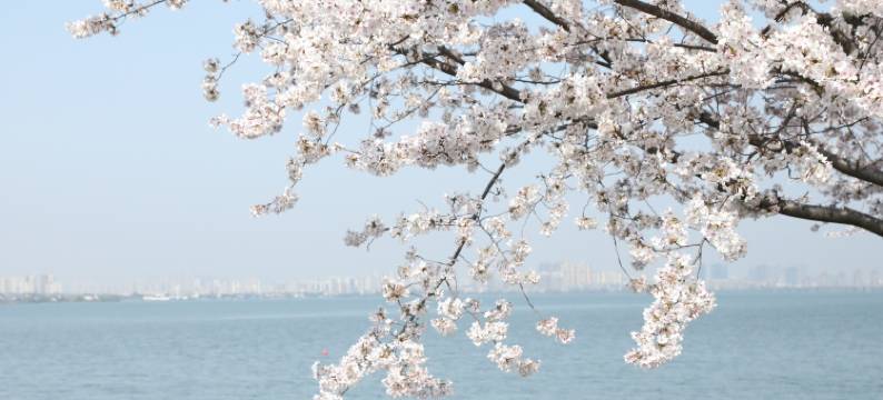 苏州独墅湖世尊酒店图片