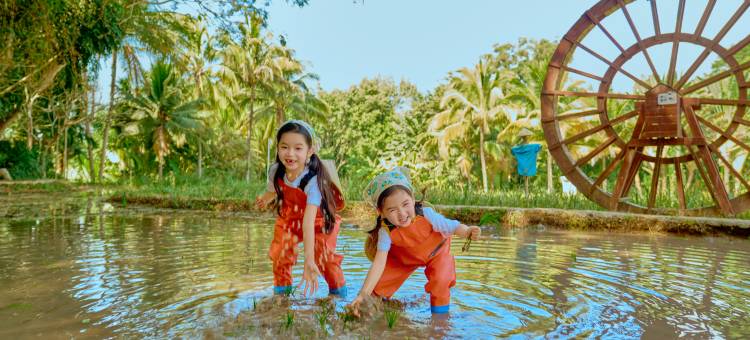 西双版纳洲际度假酒店图片
