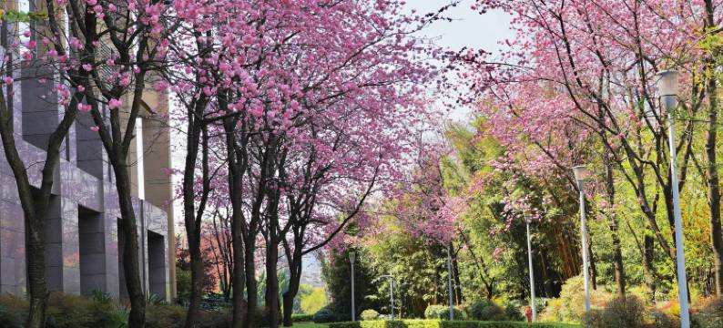 昆明洲际酒店图片