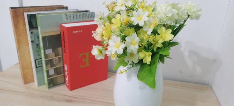 嘉悦青年公寓(中山沙岗墟店)图片