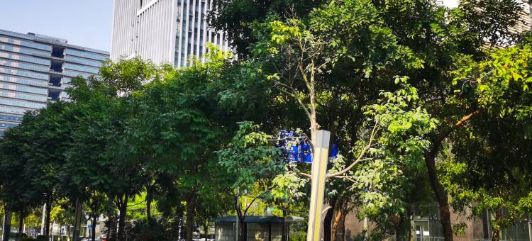 净悦居公寓图片
