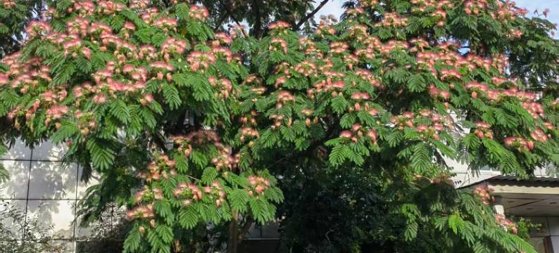 桃源仙谷度假山庄图片