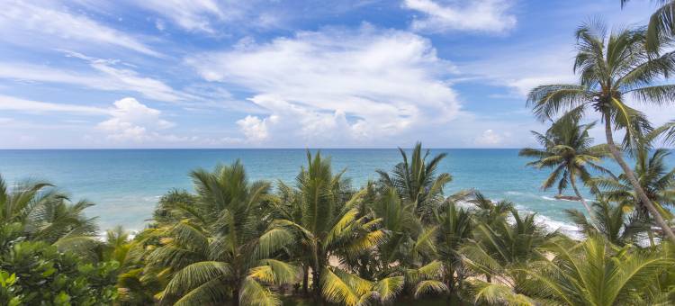 踏浪闲居 · 爱德华臻选(The Sandals by Edwards Collection)图片