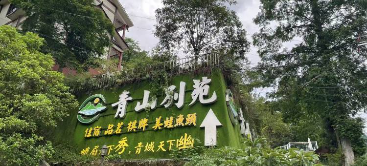 青山别苑民宿(青城后山店)图片