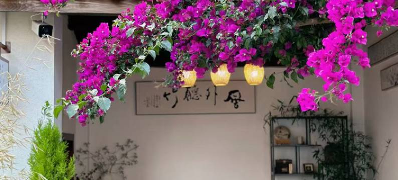 大理拙院客栈(古城洱海门店)图片