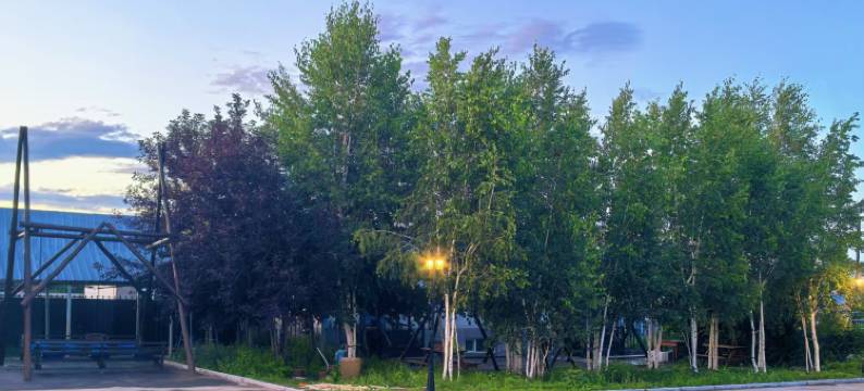 额尔古纳聚缘大酒店图片