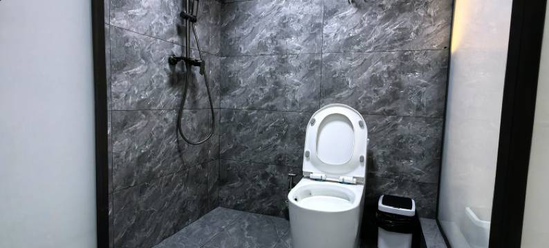 迭部川藏欢朋酒店图片