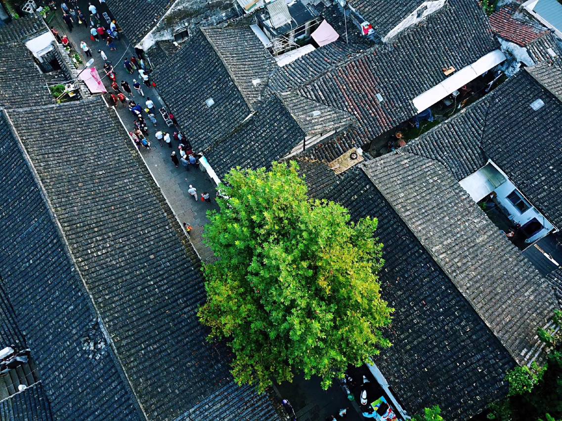 绍兴璞祺艺境酒店图片