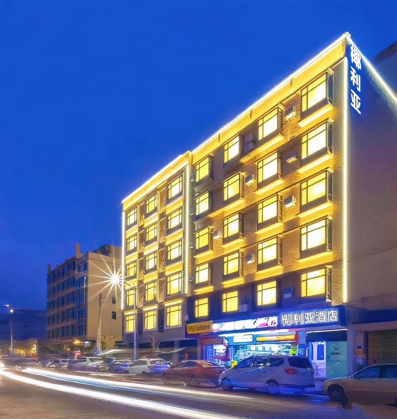 椰利亚酒店(定安汽车站店)