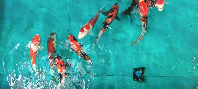 宇辰商旅酒店(太原南站武宿机场店)图片