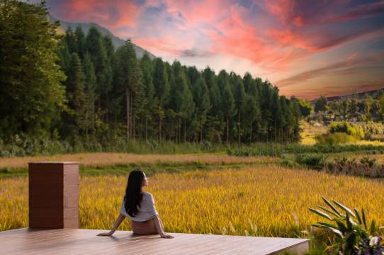 腾冲光谷一宿私汤度假庄园(玛御谷店)图片
