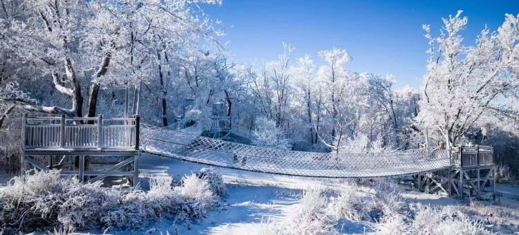 吉林亚美滑雪度假公寓(万科松花湖店)图片