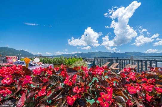江南设计师日照金山·空中GarDen雪山观景文化美宿(丽江古城店)图片