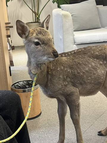 杭州云和西子度假酒店(柳浪闻莺定安路地铁站店)图片