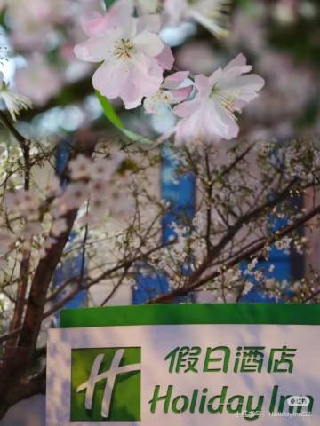 苏州汇融广场假日酒店图片