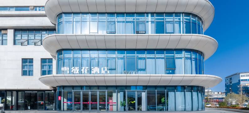 洛阳雪绒花酒店(应天门洛邑古城店)图片