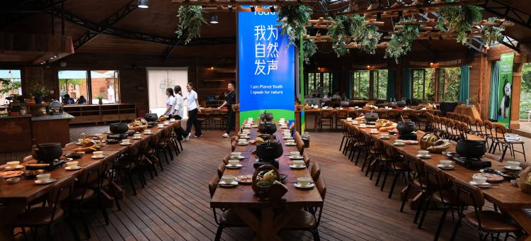大熊猫国际森林探秘学校图片