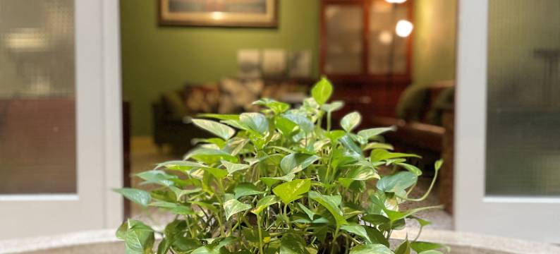 光阴GUANGINN包栋民宿 | 自助入住、近城隍庙图片